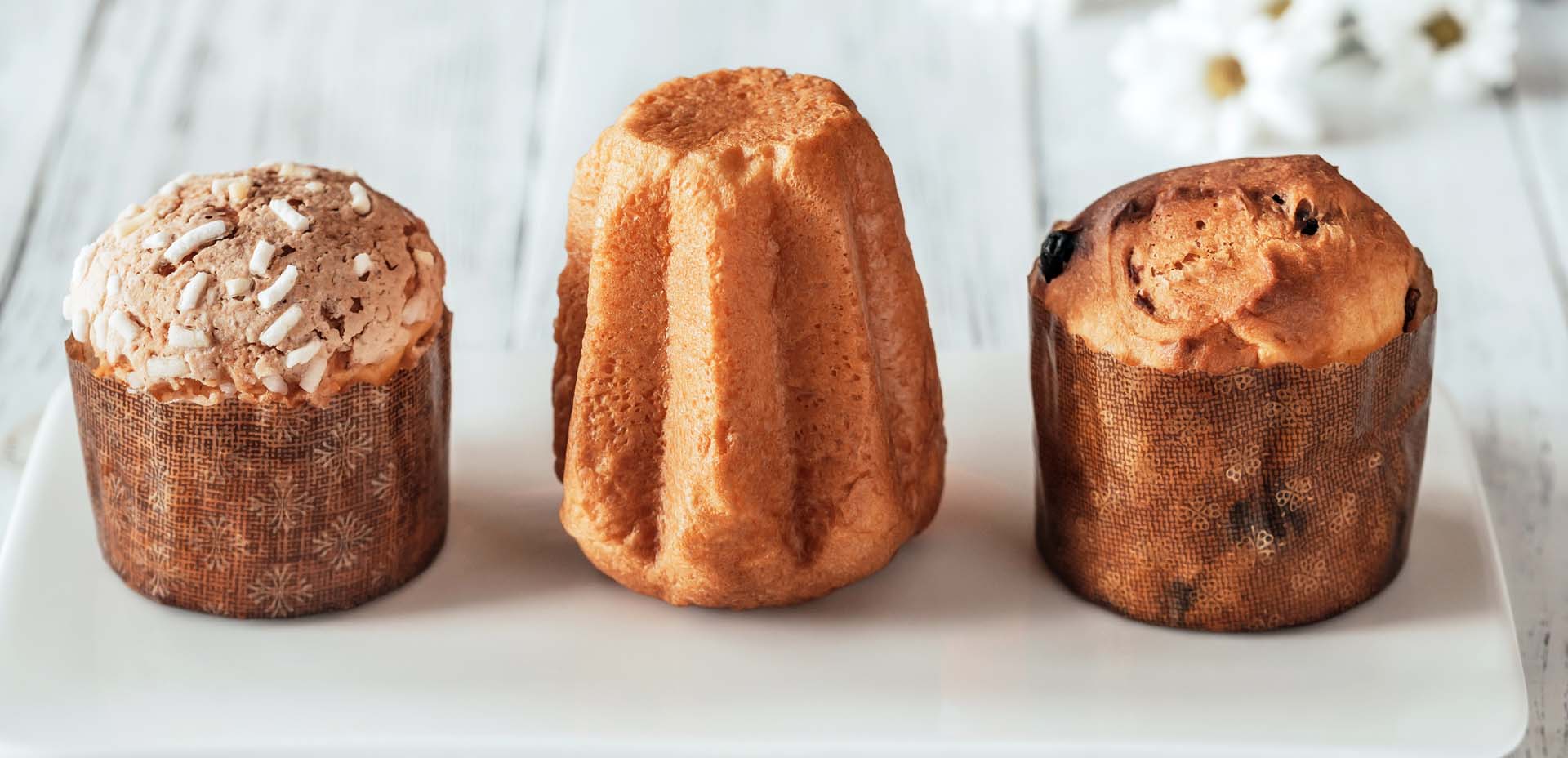 panettone, pandoro panettone, pandoro
