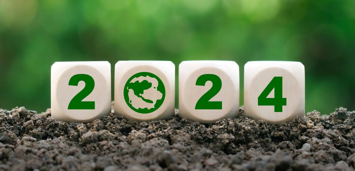 propositi vegani per il 2024