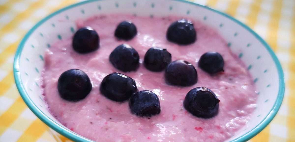 budino ai mirtilli vegano