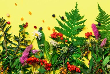 prodotti vegetali regole europee
