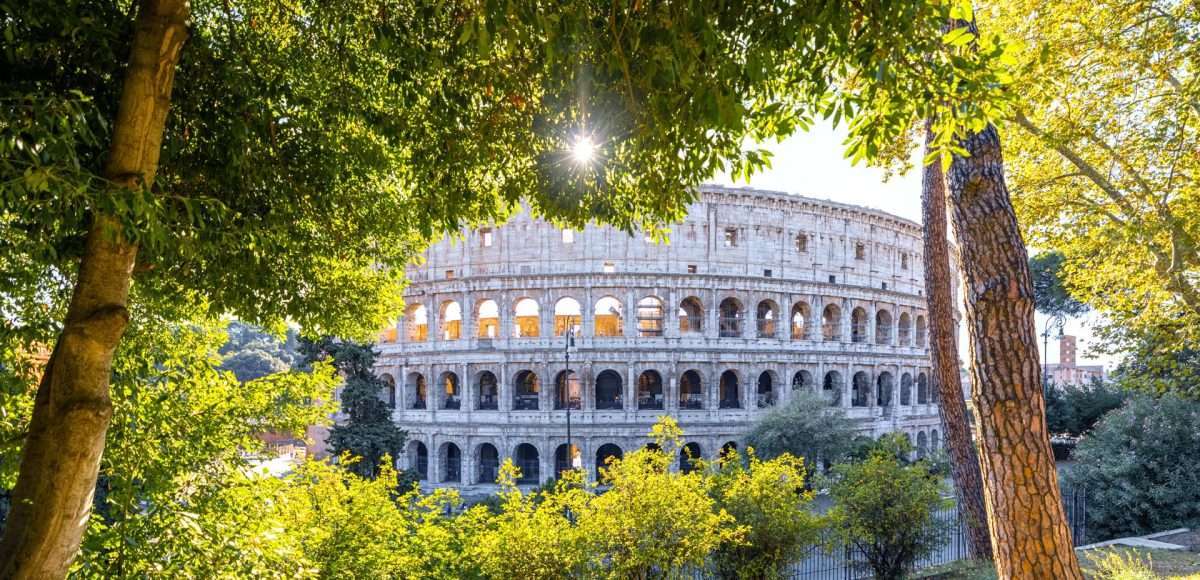 benefici alberi ambito urbano, Colosseo, Roma