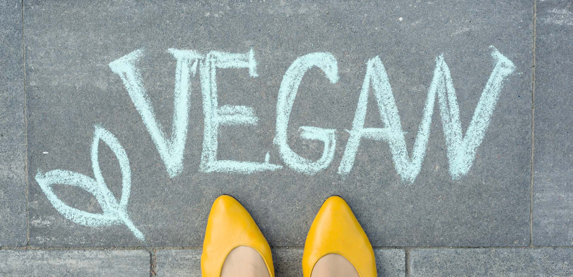 stile di vita vegano stile di vita vegano