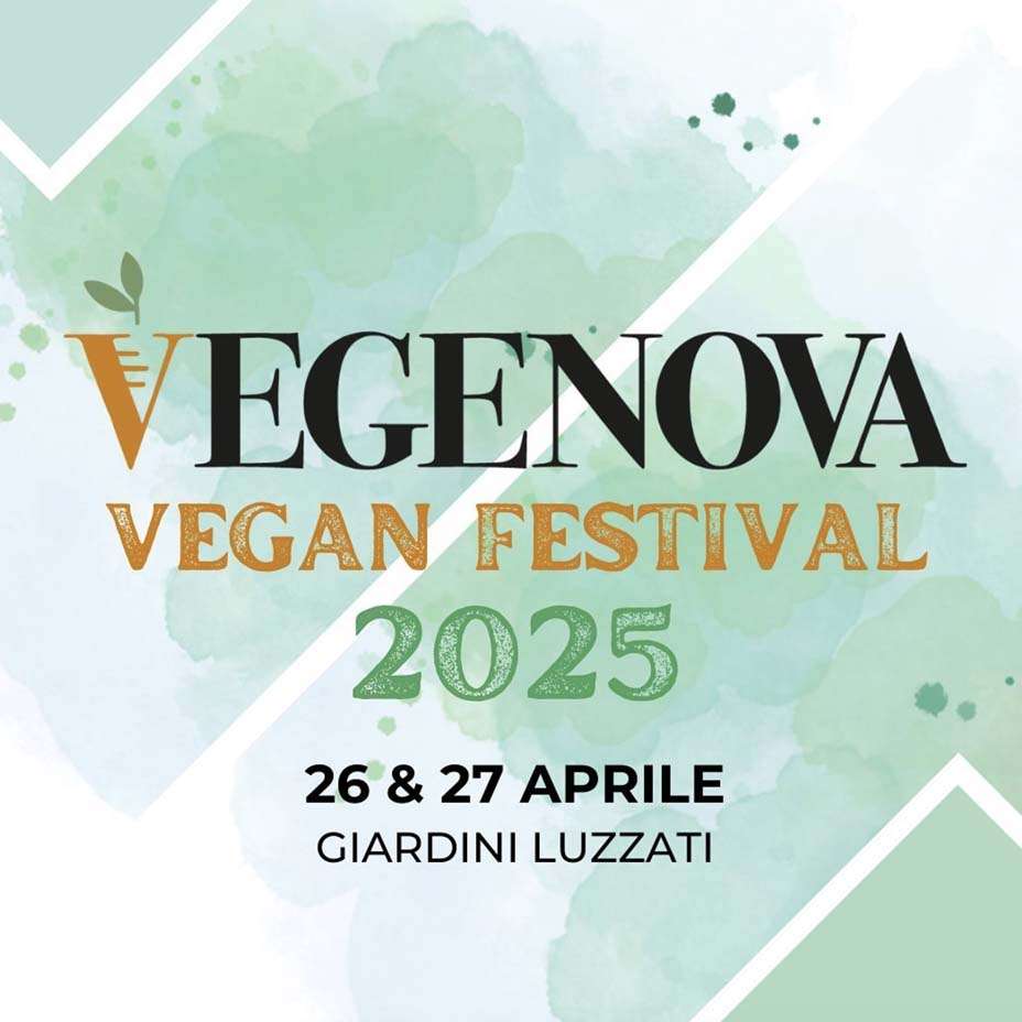 Vegenova Vegenova