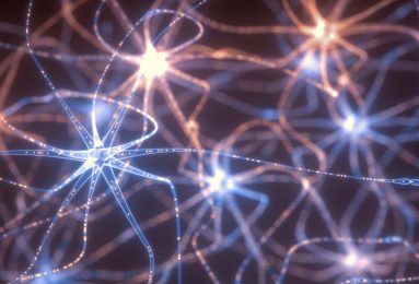 intelligenza diffusa, neuroni