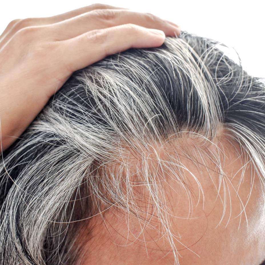 capelli grigi, capelli bianchi capelli grigi, capelli bianchi