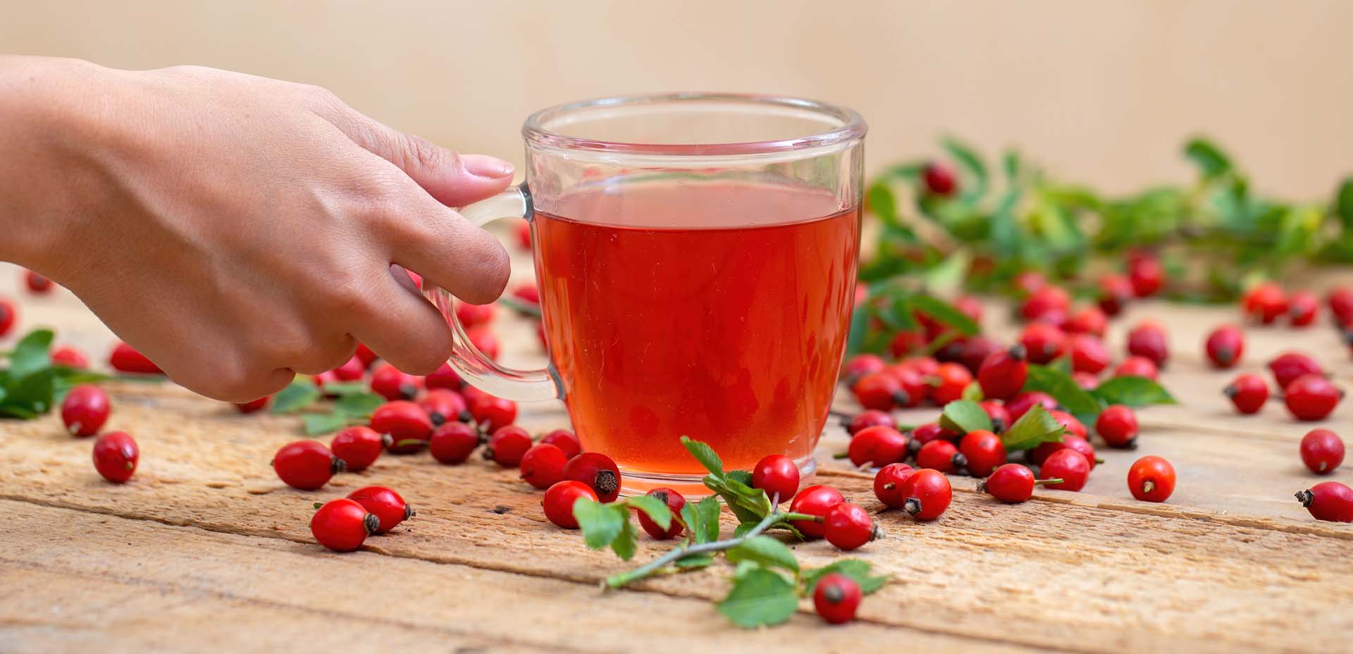 tisane estive, rosa canina