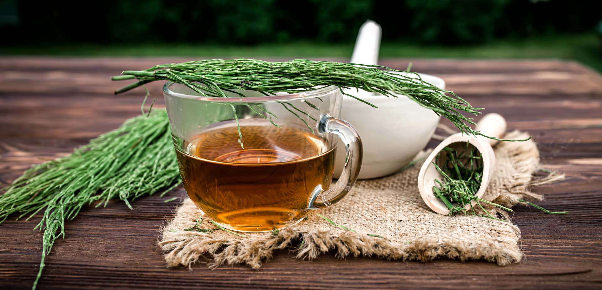 tisane estive, equiseto