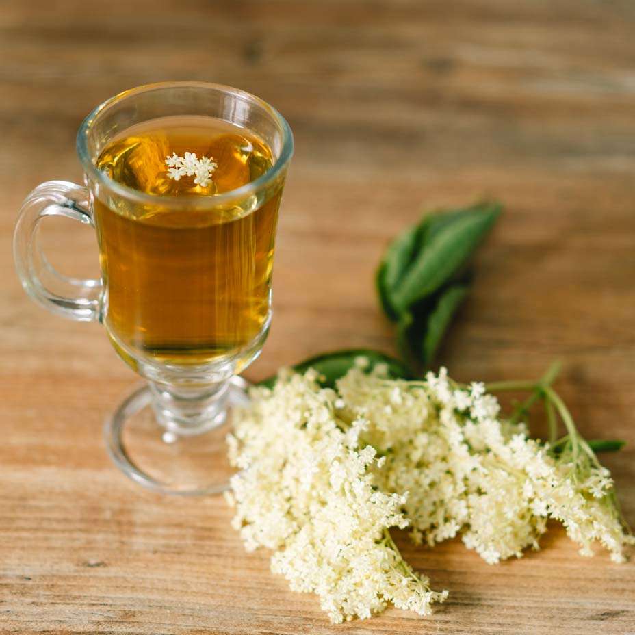 tisane estive, sambuco