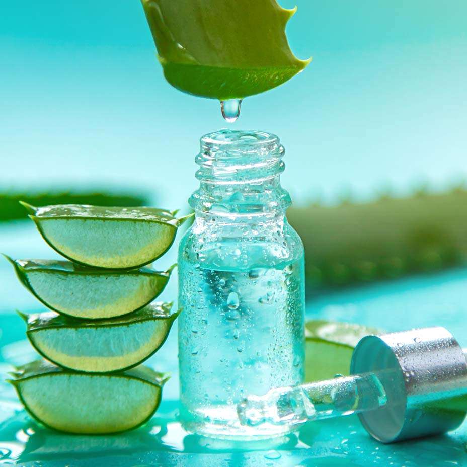 gel aloe vera gel aloe vera