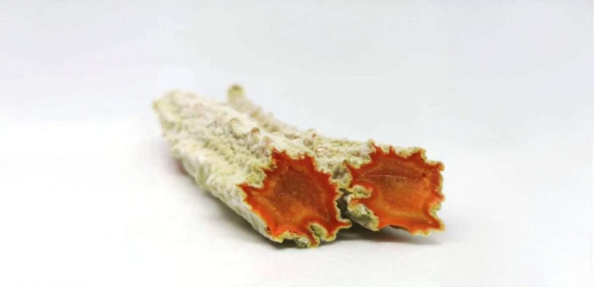 verdure kojificate, koji, carote kojificate