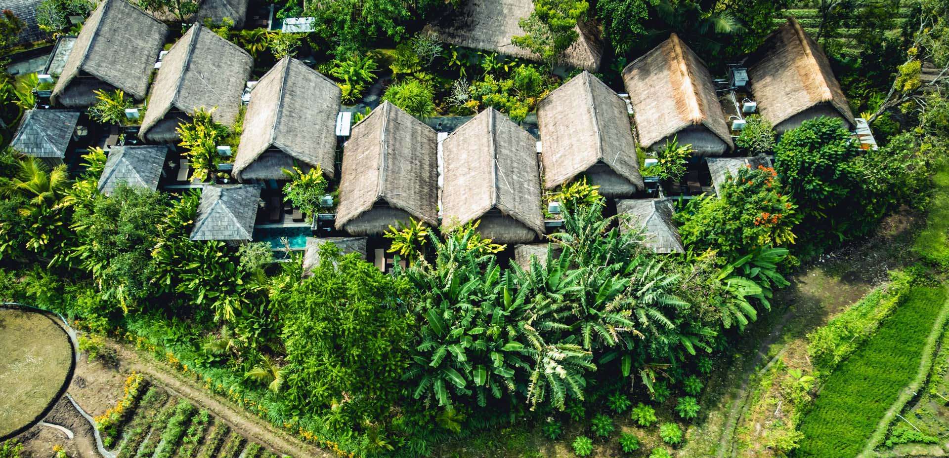 Fivelements Retreat, Fivelements Bali