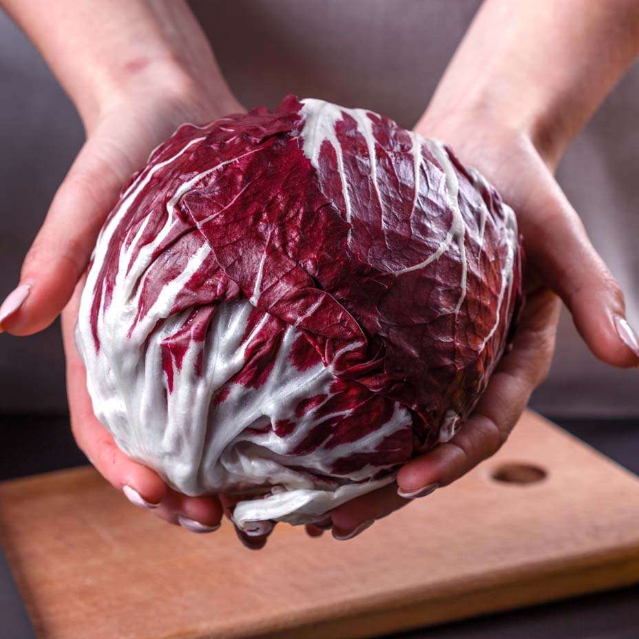 radicchio al forno radicchio al forno