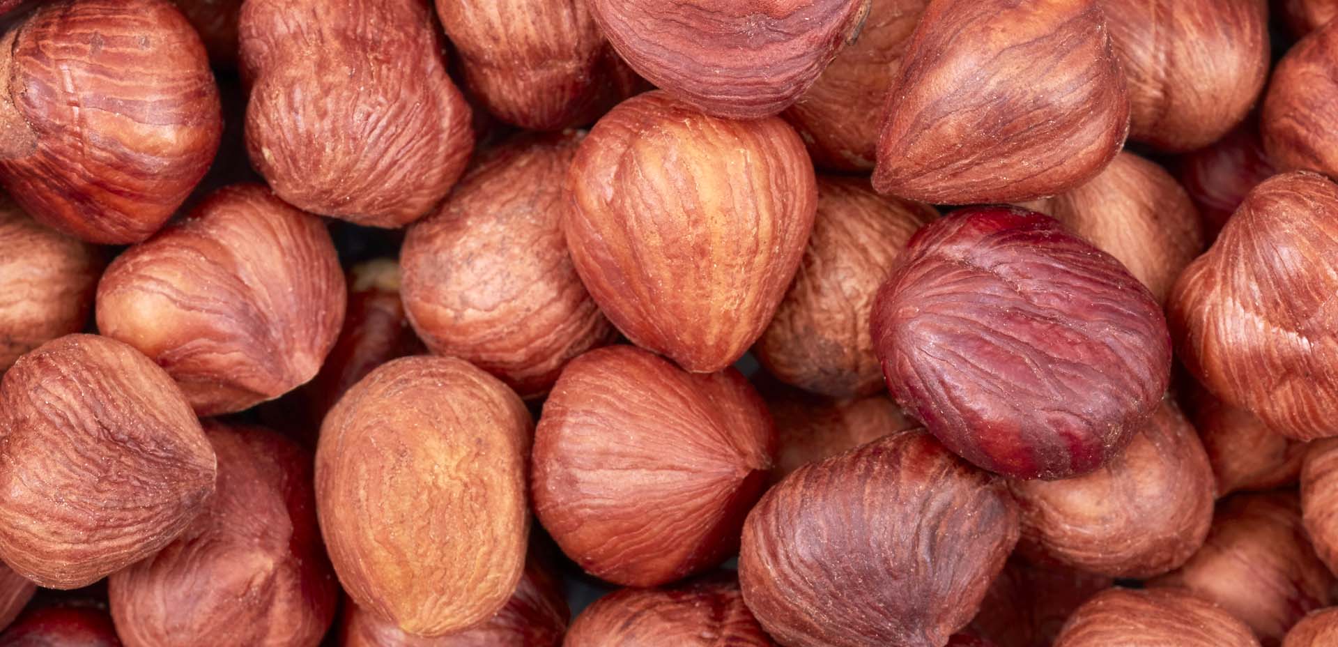nocciole nocciole