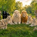 centro di recupero animali selvatici Zemlja Prajda