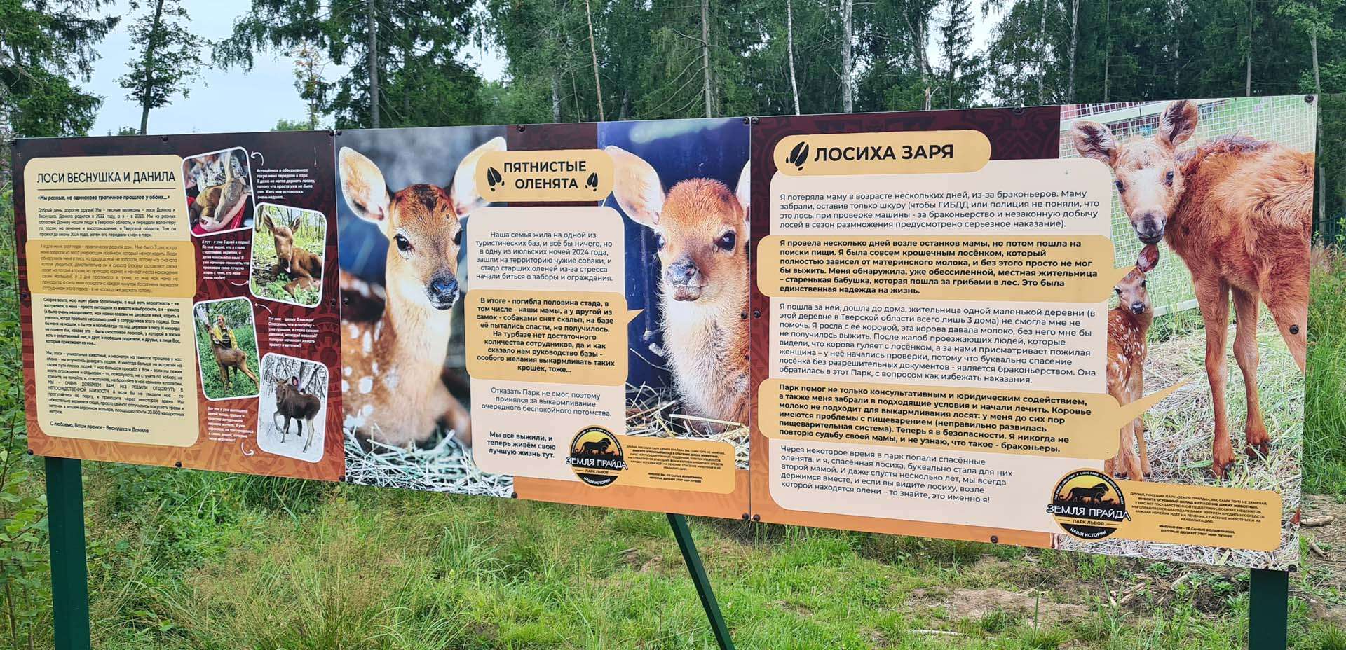 centro di recupero animali selvatici Zemlja Prajda centro di recupero animali selvatici Zemlja Prajda