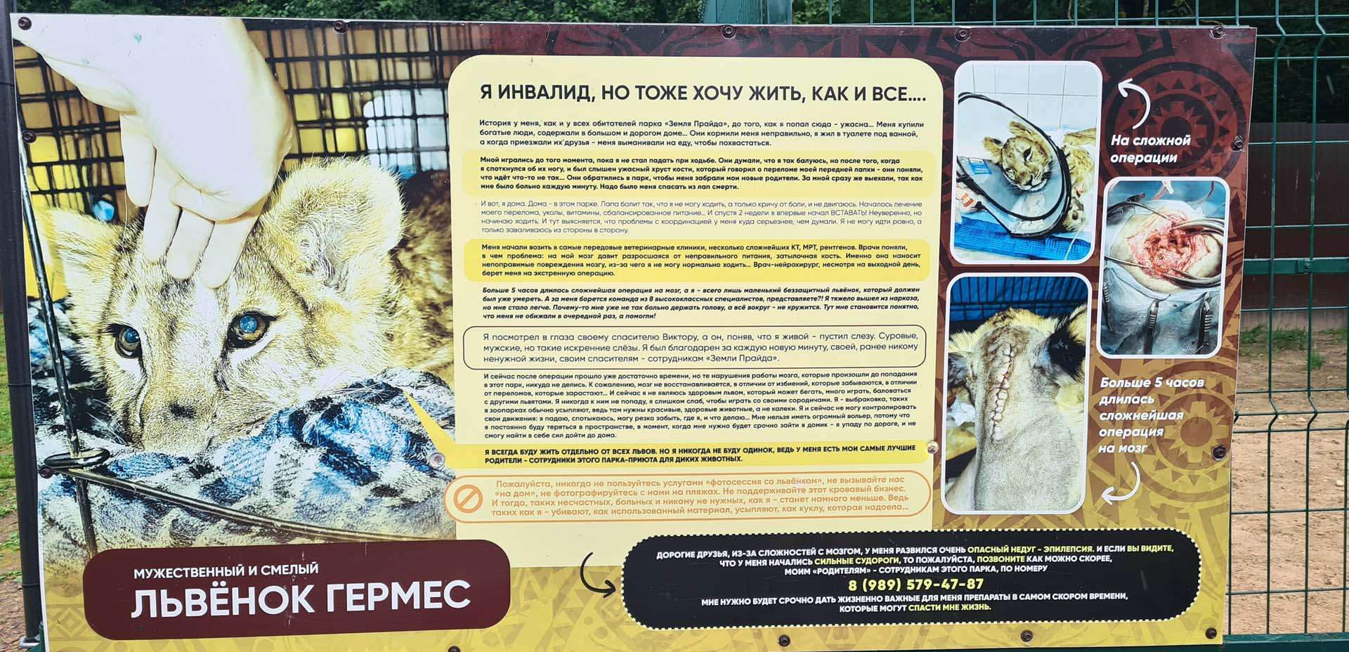 centro di recupero animali selvatici Zemlja Prajda centro di recupero animali selvatici Zemlja Prajda
