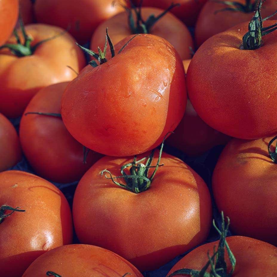 pomodori pomodori